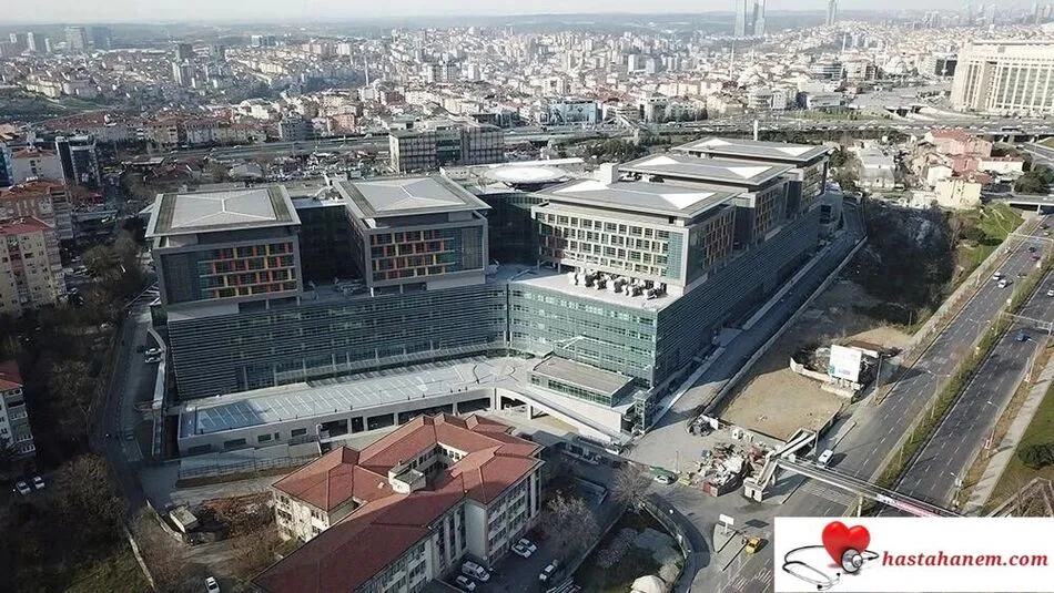 Göztepe Prof. Dr. Süleyman Yalçın Şehir Hastanesi Hematoloji Doktorları