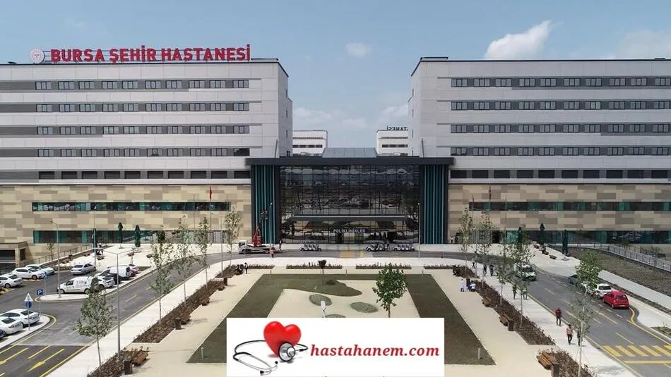 Bursa Şehir Hastanesi Kulak Burun Boğaz Doktorları