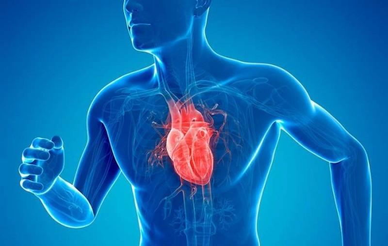 Konya Şehir Hastanesi Kalp ve Damar Cerrahisi Doktorları