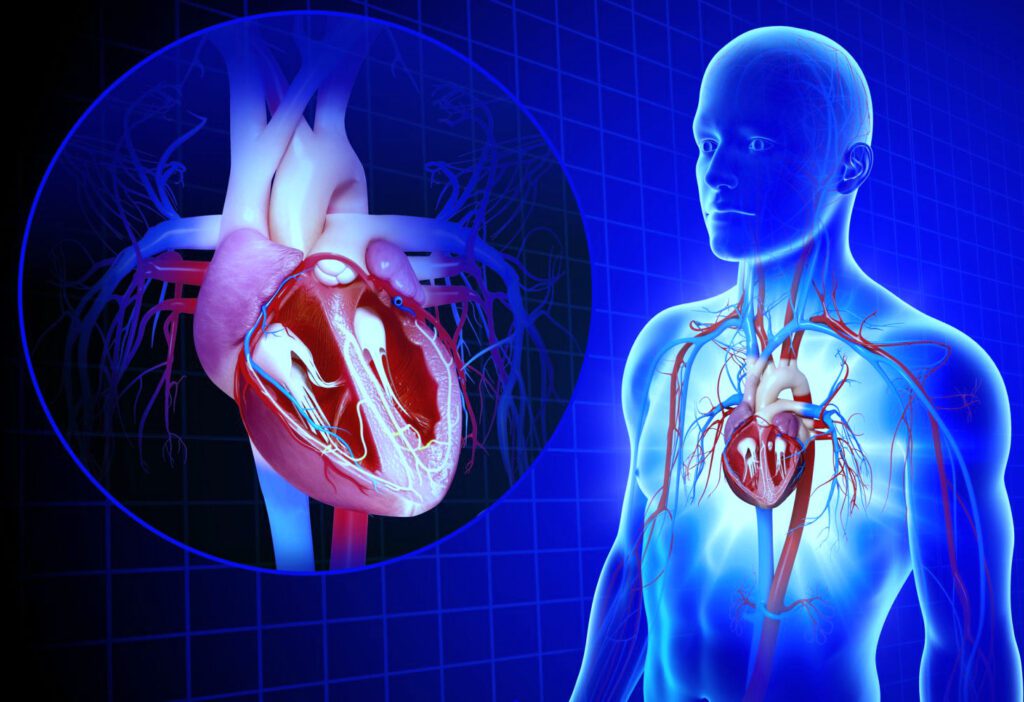 Isparta Şehir Hastanesi Kalp ve Damar Cerrahisi Doktorları