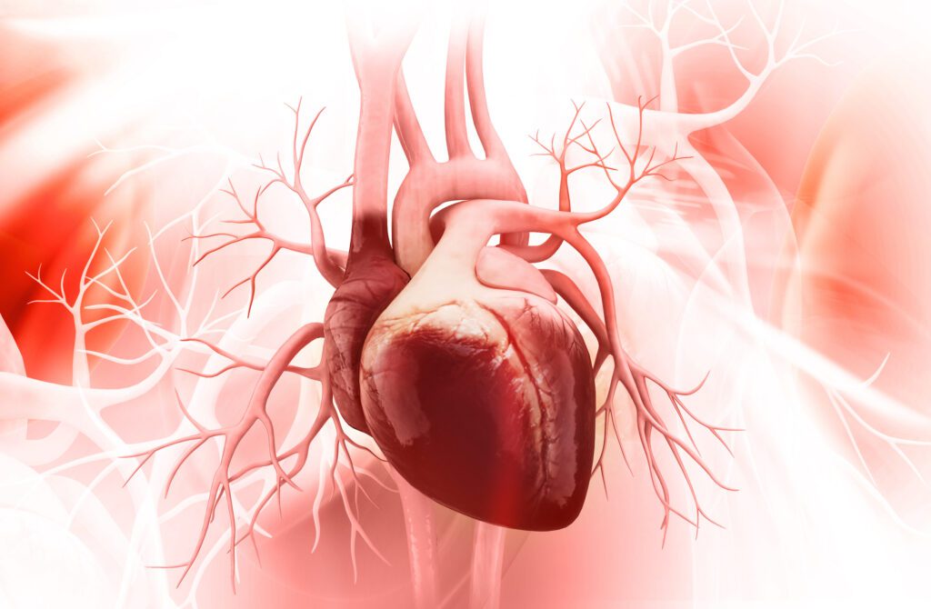 Sakarya Eğitim ve Araştırma Hastanesi Kalp ve Damar Cerrahisi Doktorları