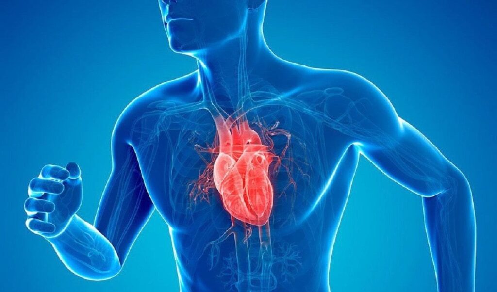 Isparta Şehir Hastanesi Kalp ve Damar Cerrahisi Doktorları