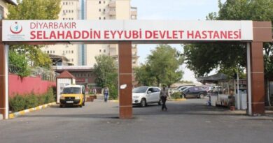 Diyarbakır Selahaddin Eyyubi Devlet Hastanesi Plastik Rekonstrüktif ve Estetik Cerrahi Doktorları