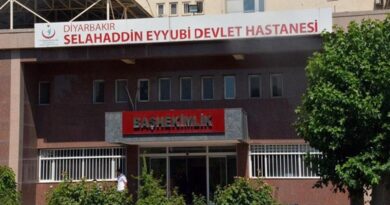 Diyarbakır Selahaddin Eyyubi Devlet Hastanesi İç Hastalıkları-Dahiliye Doktorları