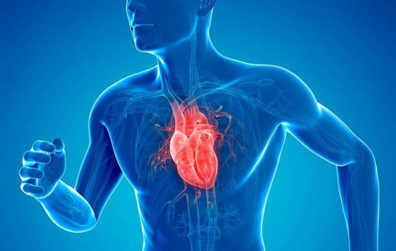 Kırşehir Eğitim ve Araştırma Hastanesi Kalp ve Damar Cerrahisi Doktorları