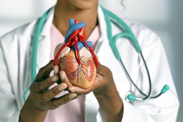 Bağcılar Eğitim ve Araştırma Hastanesi Kalp ve Damar Cerrahisi Doktorları