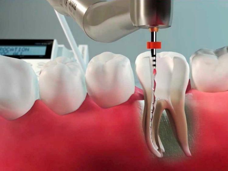 İstanbul Okmeydanı Ağız ve Diş Sağlığı Hastanesi Diş Doktorları