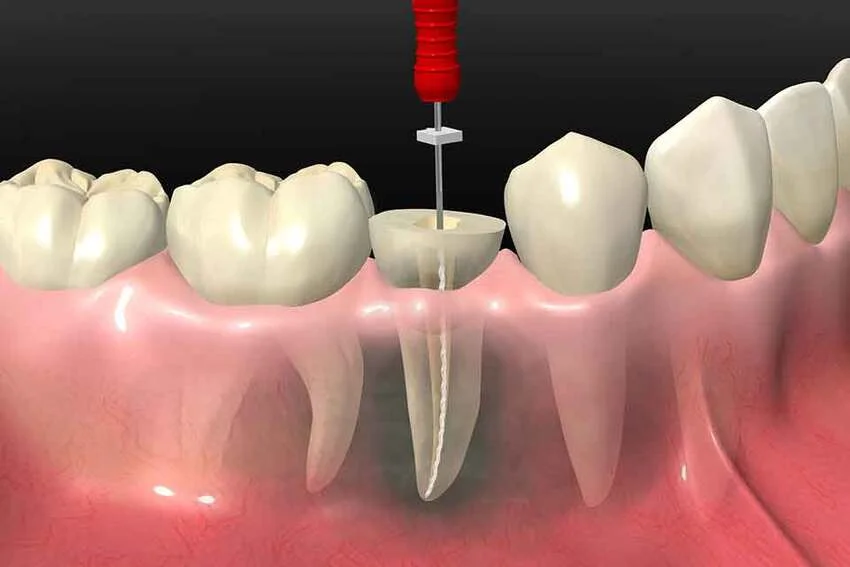 Malatya Şehit Mehmet Kılınç Ağız ve Diş Sağlığı Hastanesi Diş Doktorları