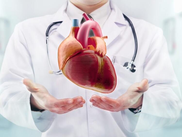 Pendik Eğitim ve Araştırma Hastanesi Kalp ve Damar Cerrahisi Doktorları