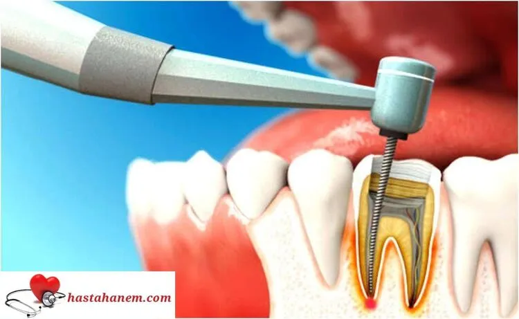 Aydın Ağız ve Diş Sağlığı Merkezi Diş Doktorları