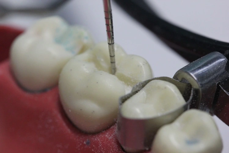Denizli Ağız ve Diş Sağlığı Hastanesi Diş Doktorları
