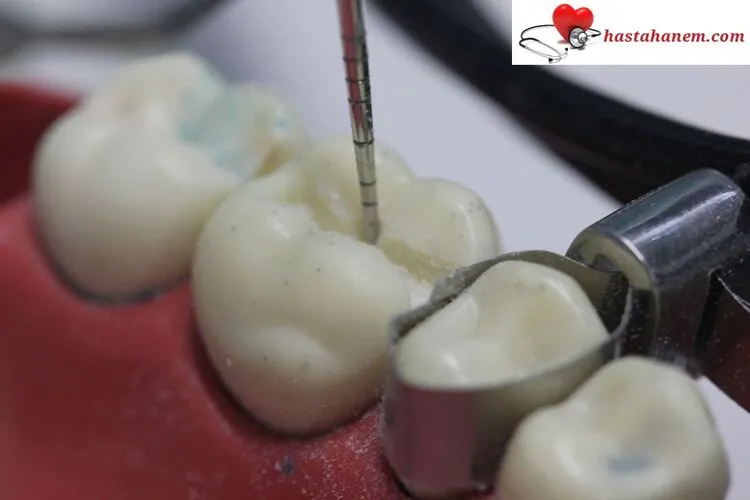İzmir Bornova Ağız ve Diş Sağlığı Merkezi Diş Doktorları