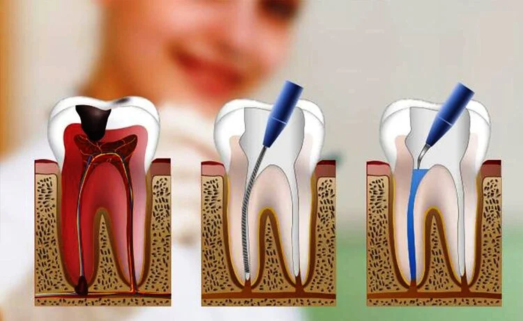 Sivas Ağız ve Diş Sağlığı Hastanesi Diş Doktorları