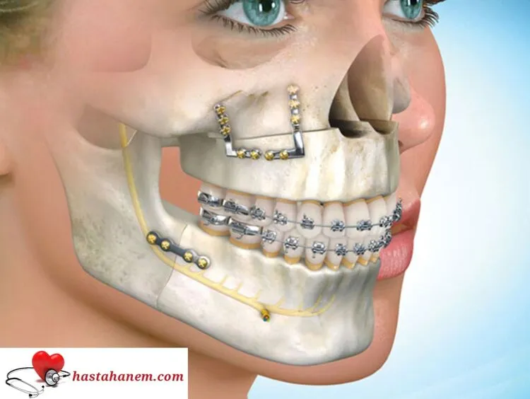 Zonguldak Ağız ve Diş Sağlığı Merkezi Diş Doktorları