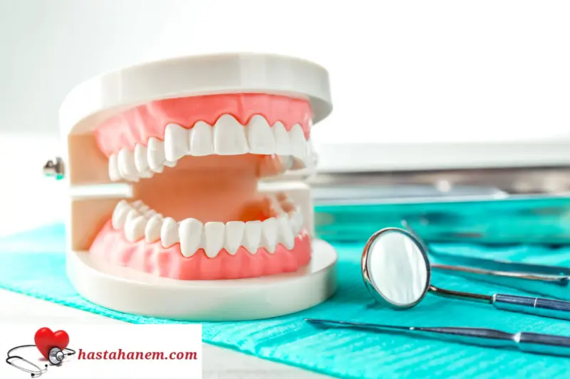 Beykoz Ağız ve Diş Sağlığı Merkezi Diş Doktorları
