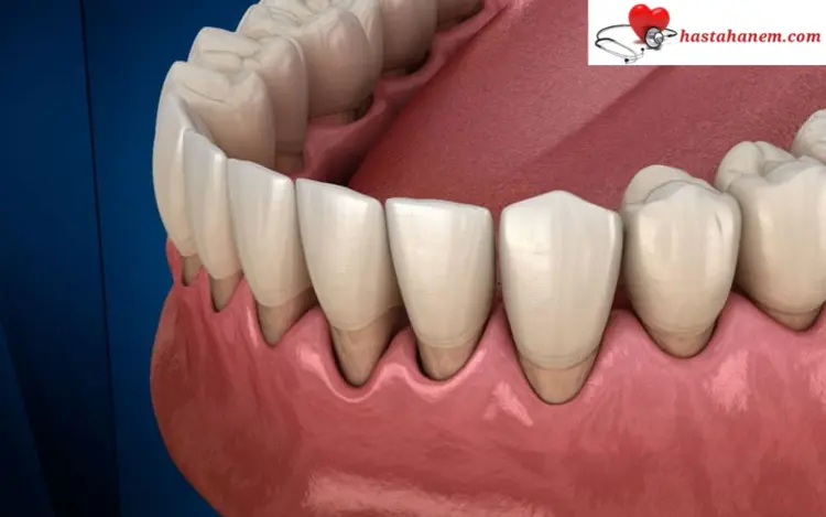 Edirne Ağız ve Diş Sağlığı Merkezi Diş Doktorları