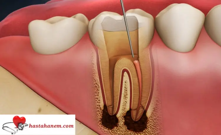 Giresun Ağız ve Diş Sağlığı Merkezi Diş Doktorları