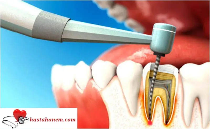 İstanbul Beylikdüzü Ağız ve Diş Sağlığı Merkezi Diş Doktorları