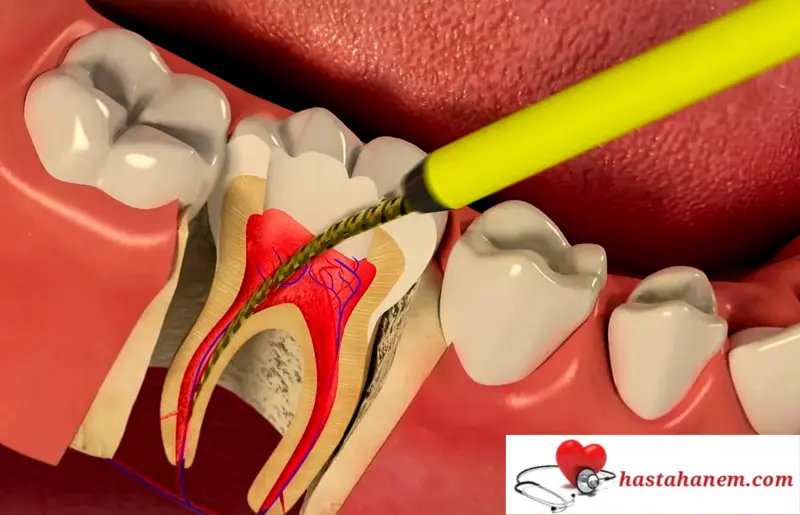 İstanbul Küçükçekmece Ağız ve Diş Sağlığı Hastanesi Diş Doktorları