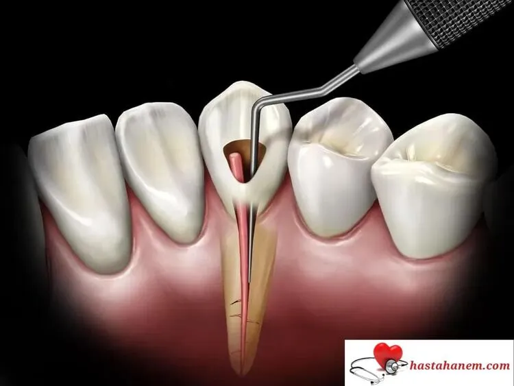 İzmir Alsancak Ağız ve Diş Sağlığı Merkezi Diş Doktorları