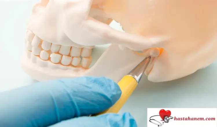 Kayseri Nimet Bayraktar Ağız ve Diş Sağlığı Hastanesi Diş Doktorları