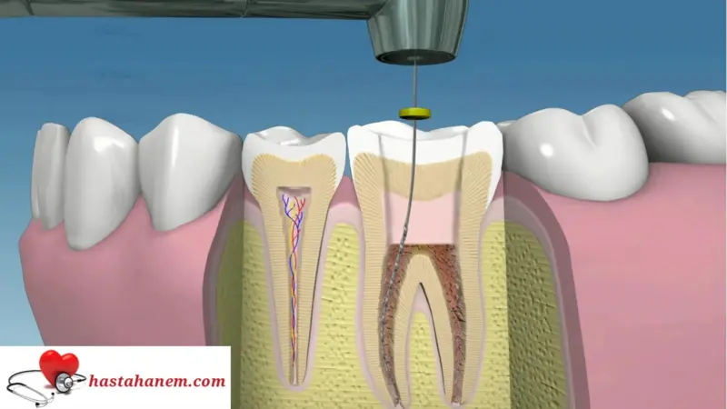 Tarsus Ağız ve Diş Sağlığı Merkezi Diş Doktorları