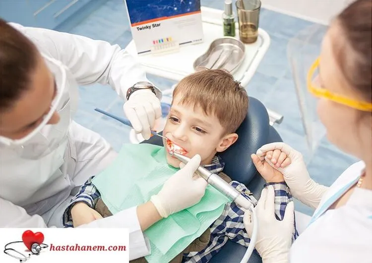 Muğla Ağız ve Diş Sağlığı Merkezi Diş Doktorları