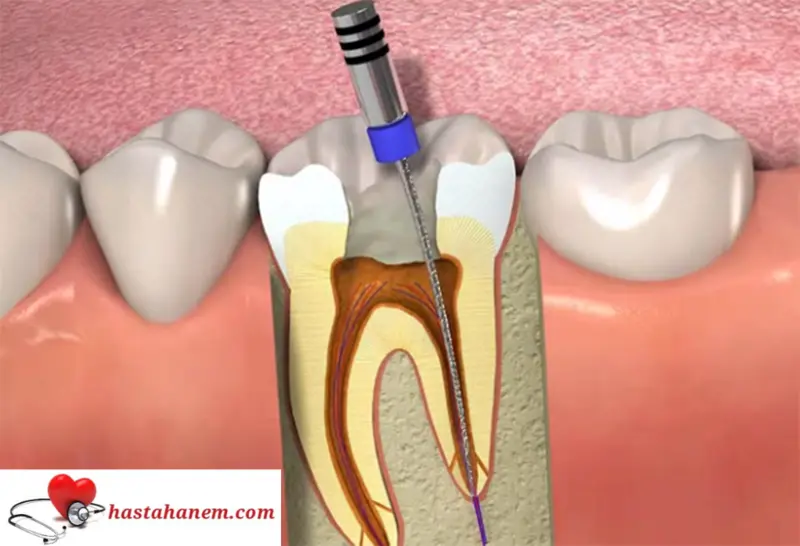 Nevşehir Ağız ve Diş Sağlığı Merkezi Diş Doktorları