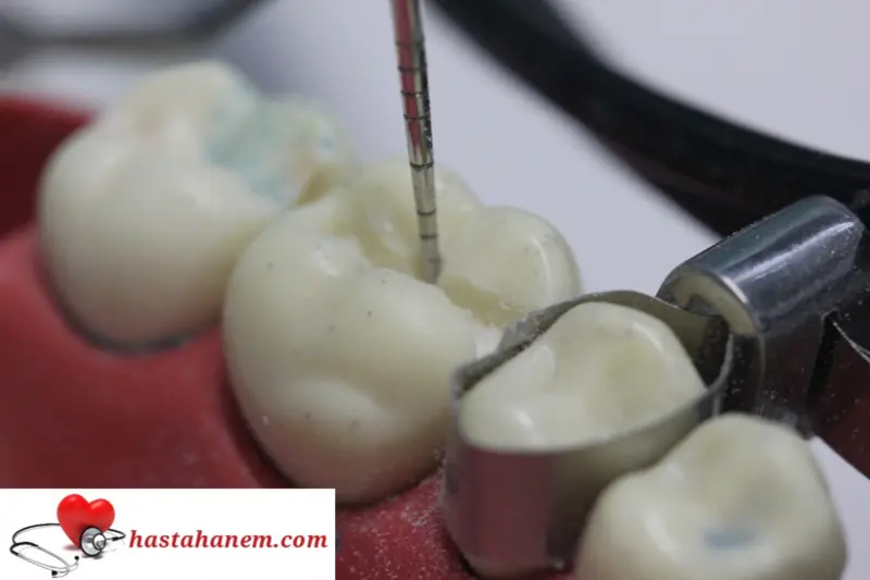 Atakum Ağız ve Diş Sağlığı Merkezi Diş Doktorları
