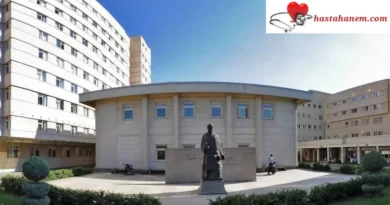 Hacettepe Üniversitesi Tıp Fakültesi Hastanesi Kulak Burun Boğaz Doktorları