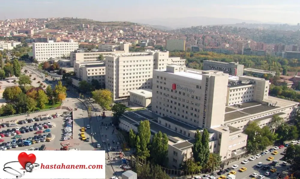 Hacettepe Üniversitesi Tıp Fakültesi Hastanesi Üroloji Doktorları