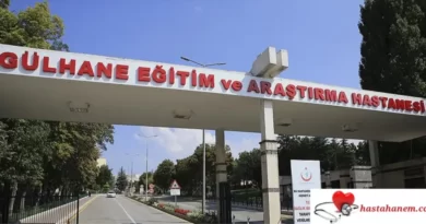 Ankara Gülhane Eğitim ve Araştırma Hastanesi Kulak Burun Boğaz Doktorları