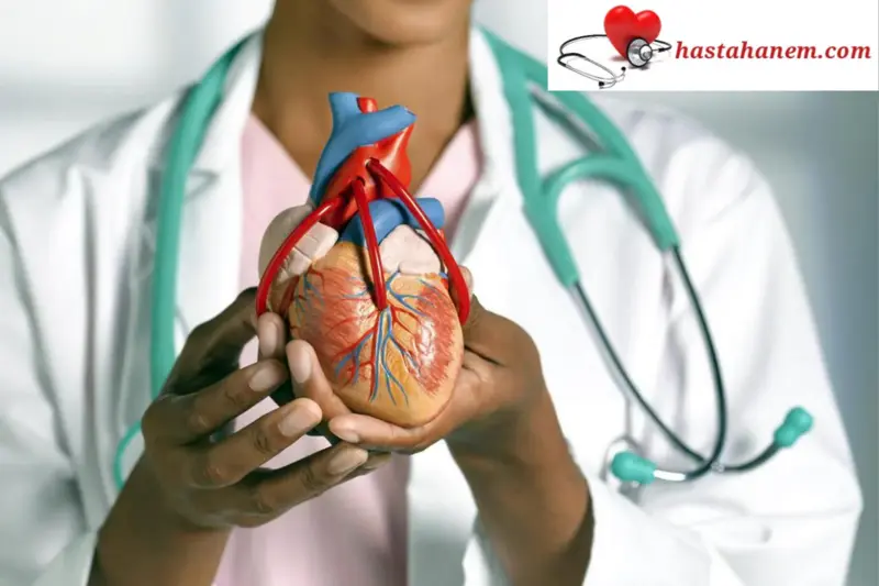 Bursa Yüksek İhtisas Eğitim ve Araştırma Hastanesi Kalp ve Damar Cerrahisi Doktorları
