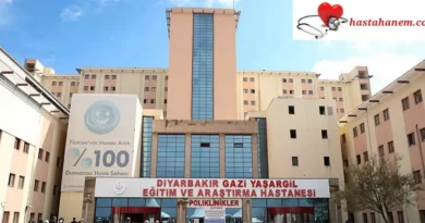 Diyarbakır Gazi Yaşargil Eğitim ve Araştırma Hastanesi Nöroloji Doktorları