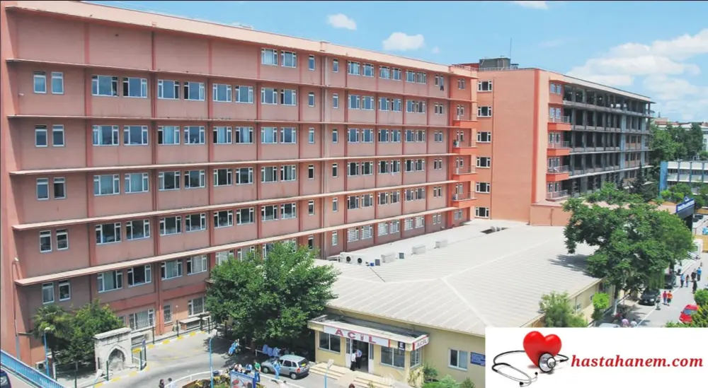İstanbul Eğitim ve Araştırma Hastanesi Dermatoloji-Cildiye Doktorları