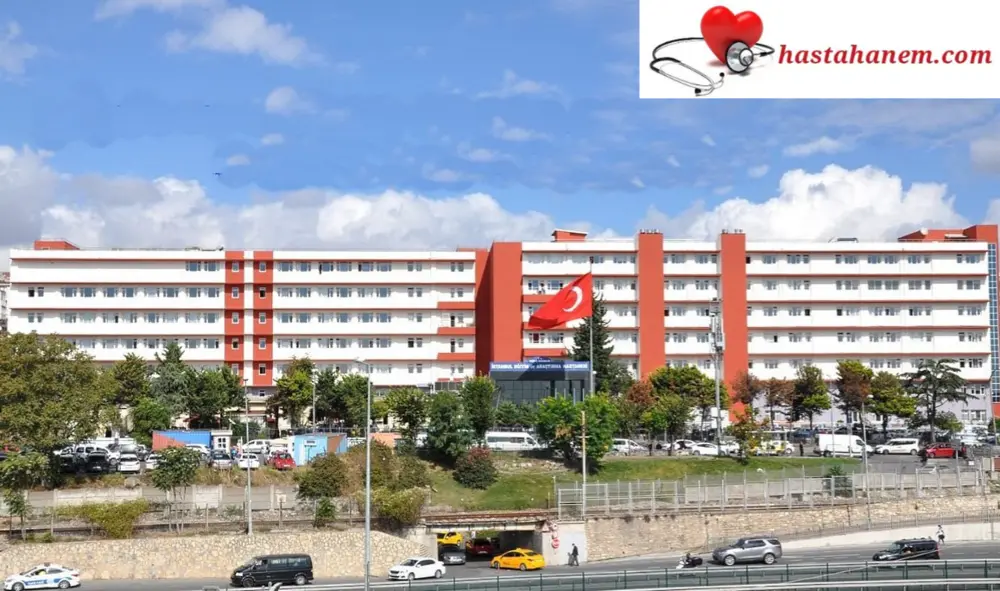 İstanbul Eğitim ve Araştırma Hastanesi Ruh Sağlığı ve Hastalıkları Psikiyatri Doktorları