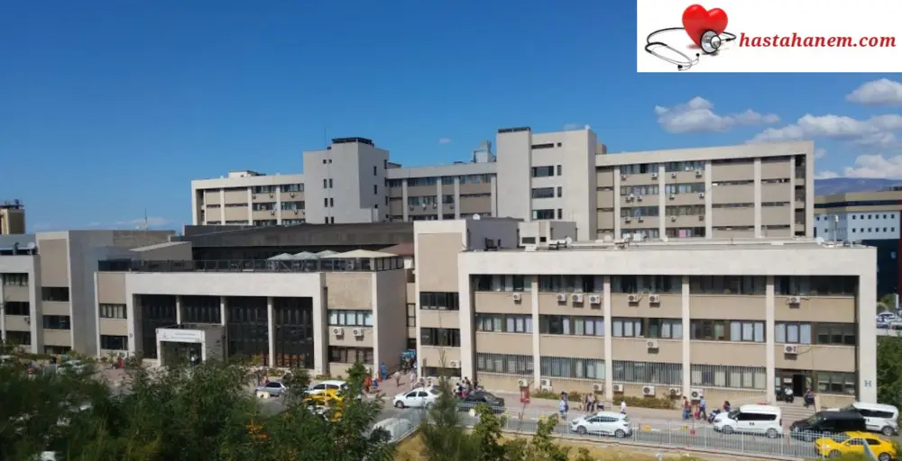 İzmir Bozyaka Eğitim ve Araştırma Hastanesi Beyin ve Sinir Cerrahi Doktorları