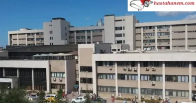 İzmir Bozyaka Eğitim ve Araştırma Hastanesi Fizik Tedavi ve Rehabilitasyon Doktorları