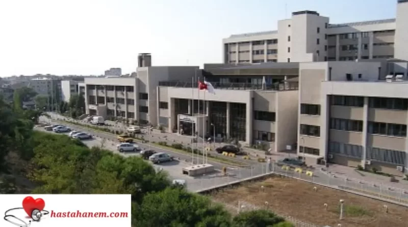 İzmir Bozyaka Eğitim ve Araştırma Hastanesi İç Hastalıkları Dahiliye Doktorları