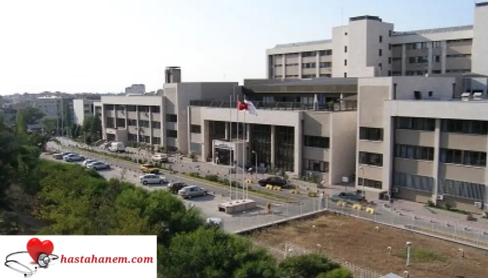 İzmir Bozyaka Eğitim ve Araştırma Hastanesi İç Hastalıkları Dahiliye Doktorları
