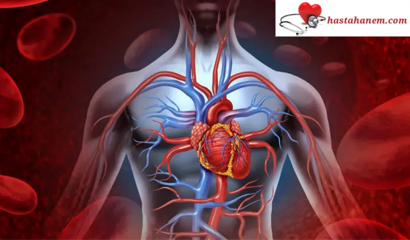 İzmir Bozyaka Eğitim ve Araştırma Hastanesi Kalp ve Damar Cerrahisi Doktorları