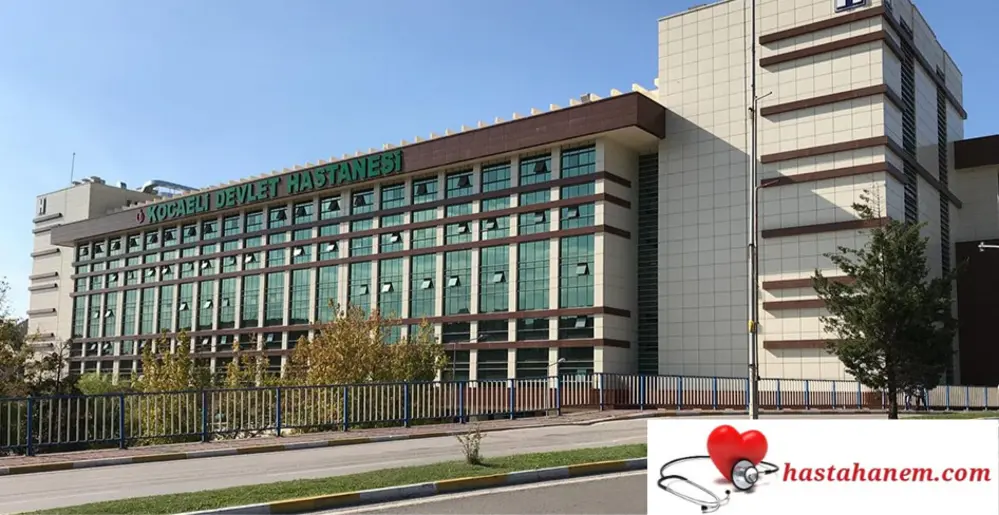 Kocaeli Devlet Hastanesi Göğüs Hastalıkları Doktorları