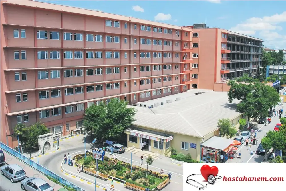 İstanbul Eğitim ve Araştırma Hastanesi Fizik Tedavi ve Rehabilitasyon Doktorları