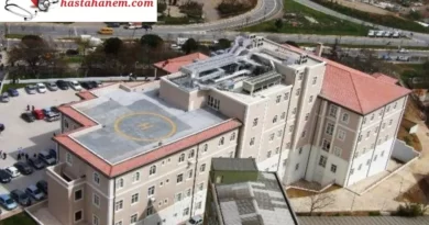 İstanbul Haydarpaşa Numune Eğitim ve Araştırma Hastanesi Fizik Tedavi ve Rehabilitasyon Doktorları