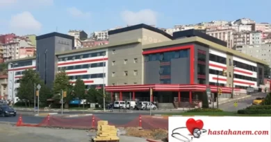 İstanbul Eyüpsultan Devlet Hastanesi Ruh Sağlığı ve Hastalıkları Psikiyatri Doktorları