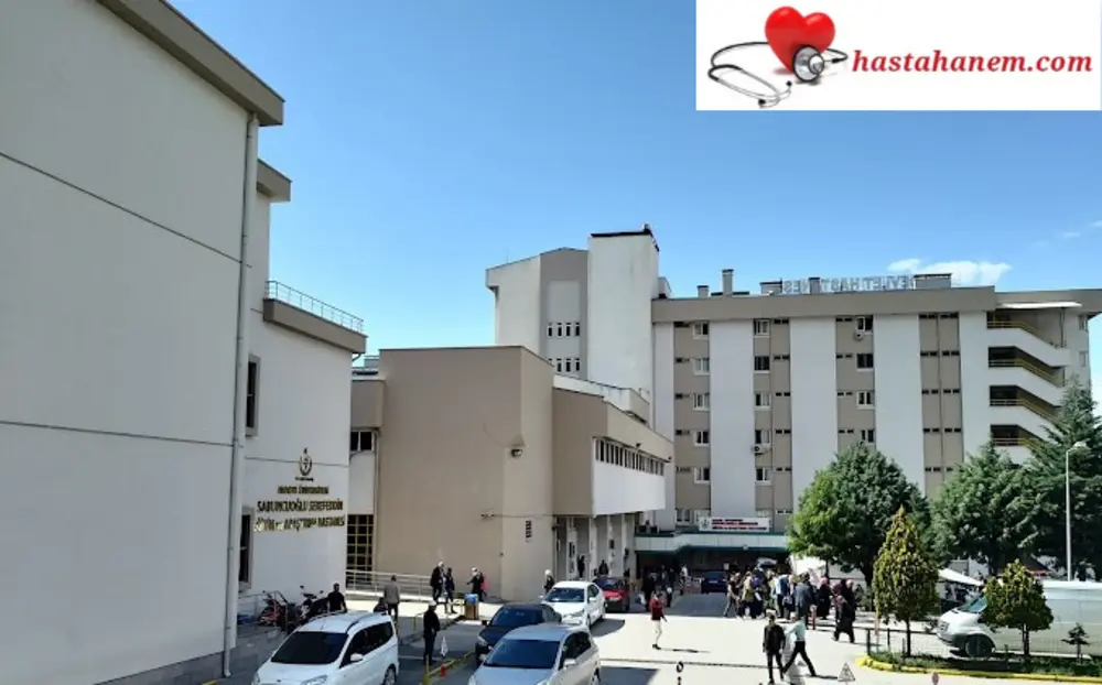 Amasya Üniversitesi Sabuncuoğlu Şerefeddin Eğitim ve Araştırma Hastanesi Fizik Tedavi ve Rehabilitasyon Doktorları