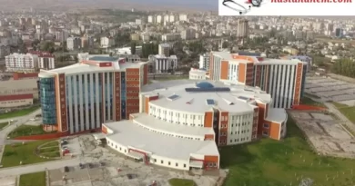 Sivas Numune Hastanesi İç Hastalıkları Dahiliye Doktorları