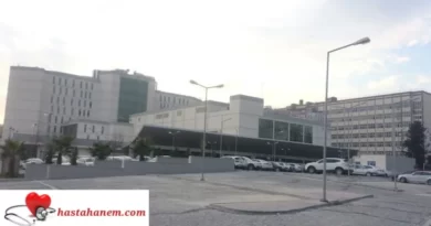 Adana Seyhan Devlet Hastanesi Hematoloji Doktorları