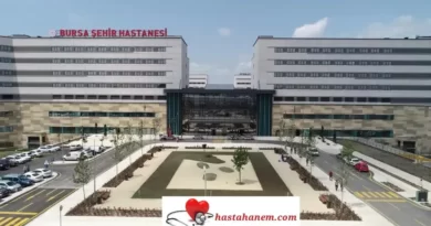 Bursa Şehir Hastanesi Çocuk Göğüs Hastalıkları Doktorları