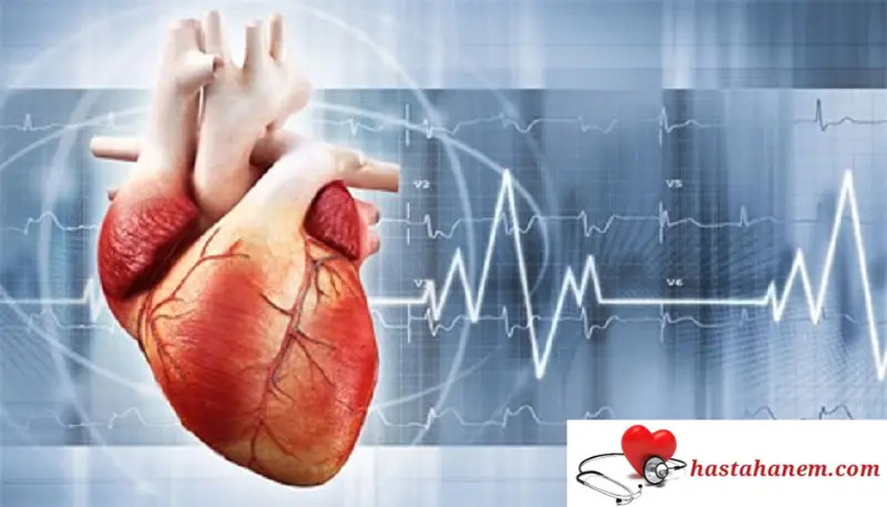 Şanlıurfa Mehmet Akif İnan Eğitim ve Araştırma Hastanesi Kalp ve Damar Cerrahisi Doktorları